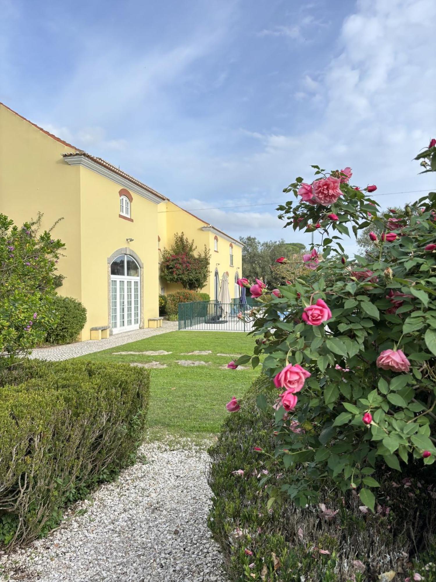 Bed and Breakfast Quinta Do Scoto Синтра Экстерьер фото